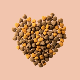 Category image: Cat Food
